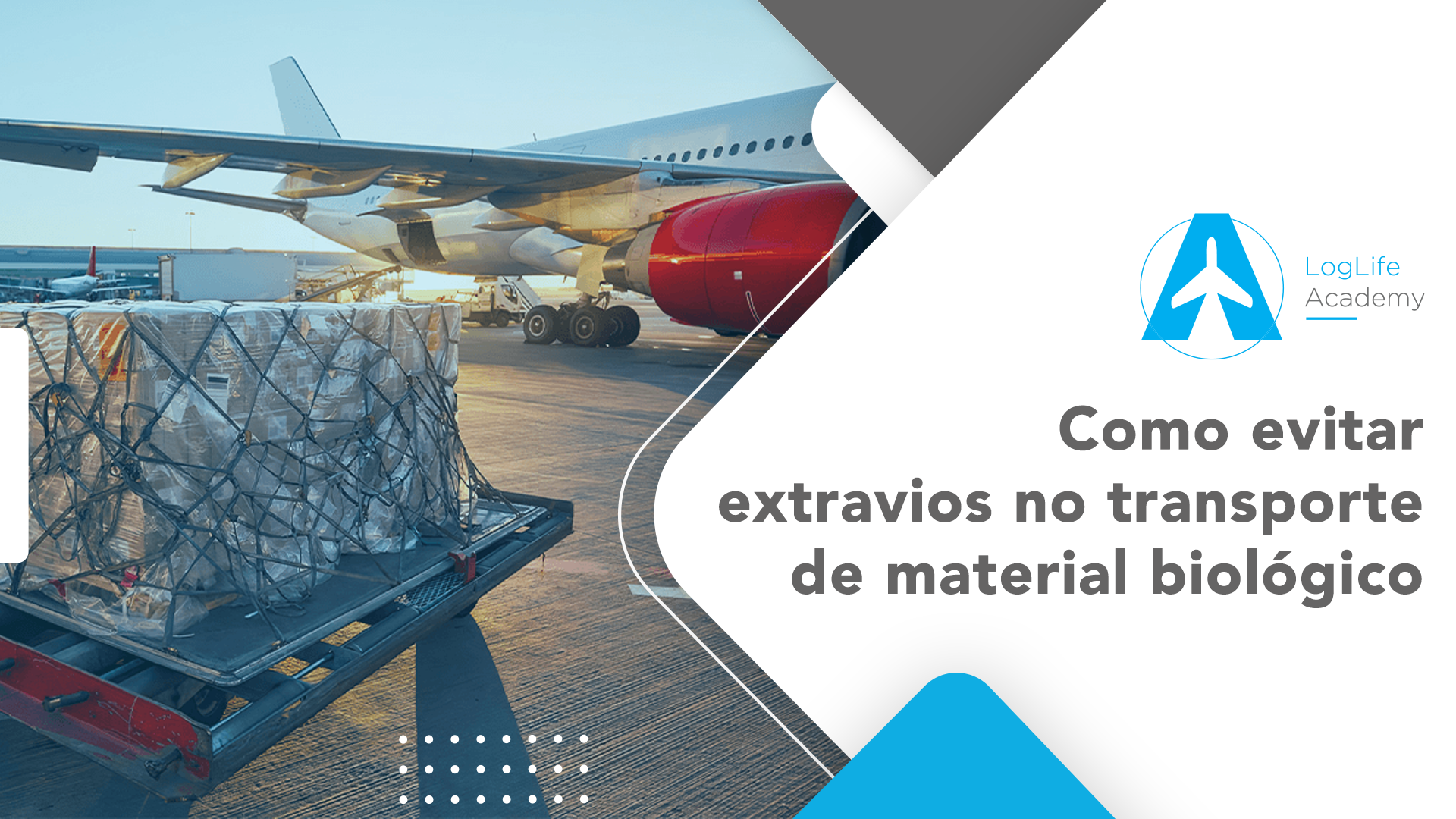 Como Evitar Extravios no Transporte de Material Biológico